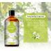 PHATOIL White Musk Fragrance Oils 3.38FL.OZ Large Volume White Musk Oil Perfect for Aromatherapy Diffuser Great for DIY Candle and Scented Products Making Gift for Friends with Glass Dropper - Buy Online on GoSupps.com