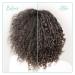 Kenra Moisturizing Oil 2.7-Ounce | Lightweight Hydrating & Multipurpose Oil | Instantly Absorbing Formula for Styling, Treating, & Finishing | Thermal Protection for All Hair Types - Buy Online on GoSupps.com