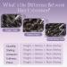 FSHINE Real Hair Tape Extensions - 35cm Black Virgin Remy Hair - 10 Pieces - 20g #1 Quality - Buy Online on GoSupps.com