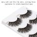 Dysilk 6D Fake Eyelashes - 5 Pairs Reusable Eyelash Extensions | Artificial False Lashes 15.5mm | International Shipping Available - Buy Online on GoSupps.com
