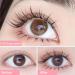 Reusable Self-Adhesive Eyelashes Natural Fluffy Curling Long Eyelashes Cat Eye Lashes 3D Fake Eyelashes Natural Look Waterproof Soft Thick Volume Faux Lashes No Magnet No Glue Needed Lash - Buy Online on GoSupps.com