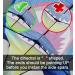 Huge Shark Kite for Kids & Adults - Easy to Assemble Beginner Kite - Perfect for Outdoor Beach Fun - Large Flyer with Long Tail - Includes 50m String - Summer Essential - Buy Online on GoSupps.com