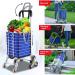 Three-Wheel Small Stroller Fashion Heightening Home Hand Push Upstairs Transport Two-Layer Handle Reinforcement Dual-use Shopping Cart 8 Wheels - Buy Online on GoSupps.com