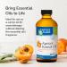 Earth's Care Apricot Kernel Oil - Nourishing Apricot Oil for Skin & Hair with Vitamin E - 8 Fl OZ Expeller Pressed in Glass Bottle - Buy Online on GoSupps.com