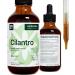Herbana Cilantro Leaf Drops - 4 Fl Oz for Body Cleansing & Detoxification - Buy Online on GoSupps.com