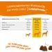 Zesty Paws Cranberry Urine Care Coarse for Dogs | Kidney & Urinary Health | D-Mannose Vitamin B6 & Exocyan | Immune & Intestinal Support | 90 Snacks - Buy Online on GoSupps.com