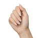KISS imPRESS No Glue Press-On Nails - Fearless French Almond Shape Light Neutral & White Tip 30 Nails Easy Application - Buy Online on GoSupps.com