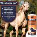 Mane back conditioner horse hair conditioner 500 ml and nourishing horse shampoo and shower gel for hair effectively removes odors and leaves a scent behind Suitable for everyone body wash - Buy Online on GoSupps.com