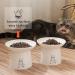 Extra Wide Ceramic Raised Cat Bowls - Set of 2 White - Elevated Porcelain Pet Food and Water Dishes for Big Cats and Small Dogs - Buy Online on GoSupps.com
