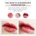 3Pcs Glass Lip Plumping Oil Set - Hydrating & Tinted Lip Balm with Big Brush Head | Nourishing & Repairing Shine Primer Lip Tint - Buy Online on GoSupps.com