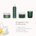 RITUALS The Ritual of Jing Body Cream & Refill Set - Sacred Lotus & Jujube | International Shipping - Buy Online on GoSupps.com