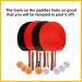 Ping Pong Paddle Set with 4 Wood Paddles, Ergonomic Grip, 8 Tournament Balls, Case - Professional/Casual Play - Portable Table Tennis Set for Family Fun - Buy Online on GoSupps.com