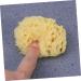 Housoutil Bath Sponge Sponges Bath Shower Sponge Seaweed Sponge Bath Flower Take a Bath Baby - Buy Online on GoSupps.com