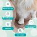 EIDEAL Pets | Nail-Grips for Dogs | Anti-slip Nail Covers for Dogs | Traction Grips for Dogs | Affordable Rubber Grips for Dogs for Hardwood Floors | Instant Relief for Dogs who Slip (M) | One pack (20 Grips) - Buy Online on GoSupps.com