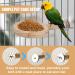 Buy New Bird Bench with Feed Cup | Solid Bird Cage Accessories for Parrots & Birds - Buy Online on GoSupps.com