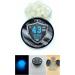 SSR 100 High-Quality Fluorescent Rubber Silicone Balls - 43 Caliber Glowing Paintballs for Training & Self-Defense - Blue - Buy Online on GoSupps.com