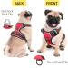 Heele Dog Crockery & No-Pull Harness | Breathable Reflective Dog Gear for Medium Dogs - XS Uni-Red - Buy Online on GoSupps.com