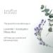 European Spa Source Sleep Well Pillow Mist - Eucalyptus & Lavender Aromatherapy Spray | 4 fl oz | Home Spa Experience for Relaxation, Tension Relief, and Sleep Support - Buy Online on GoSupps.com