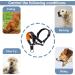 ILEPARK Adjustable Dog Halter - Padded Fabric Neck Band for Comfort | Size L - Orangegelb - International Shipping - Buy Online on GoSupps.com