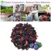 Plant Gift Ireland Spring Fruit Tea Oganic Fruit Herbal Tea All Natural Flavors Loose Leaf Roselle Grapes Blueberries Peppermint Non GMO Vegan Tea Bags Into Iced Tea & Hot Tea 70G/2.5oz - Buy Online on GoSupps.com