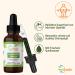 Vihado Liquid Chlorophyll Drops - Pure Alfalfa & Spring Water 50ml | Additive-Free Health Supplement - Buy Online on GoSupps.com