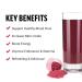 Amazing Grass Greens Blend Superfood: Super Greens Powder Smoothie Mix for Boost Energy & Force Factor Total Beets Drink Mix Superfood Powder with Nitrates to Support Circulation Blood Flow - Buy Online on GoSupps.com