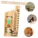 Buy Cabilock 15-Minute Glass Tube Sauna Timer | Decorative Hourglass & Accessories for Home Sauna - Buy Online on GoSupps.com