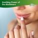 Terry Naturally Omega7 Lip Balm 0.15 oz - Pack of 3 | Moisturizing Lip Care - Buy Online on GoSupps.com