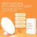 Circadian Optics Light Therapy Lamp - UV-Free LED Happy Mood Lamps with 10,000 Lux - Full Spectrum Sun Lights for Work from Home - White - Buy Online on GoSupps.com