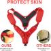 Adjustable Breathable Dog Harness for Small Medium Large Dogs - Red (45-66cm) - Buy Online on GoSupps.com