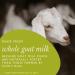 NANNYCARE Goats Milk Follow On Milk Stage 2 (6-12 months) - 900g Pack of 1 | Vitamin D Enriched Goat Milk Powder for Healthy Growth - Buy Online on GoSupps.com