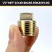 2 Pack 1/2 Inch NPT Solid Brass Boat Drain Plugs - Garboard Drain Plug for Most Boat Hulls - Buy Online on GoSupps.com