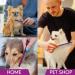 10-Inch Pet Comb with Rounded Stainless Steel Teeth for Comfortable Grooming - Purple - Buy Online on GoSupps.com