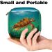Shop Multi-Colored Storage Bags for Women - Sea Turtle Design Large Menstrual Cup Panty Lores & More | International Shipping Available - Buy Online on GoSupps.com