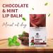 Chocolate & Mint Lip Balm for Men & Women | Nourishing Vitamin E Balm for Chapped Lips | Heals Dry Cracked Lips | Moisturizer with Almond & Olive Oil (10gm - Buy Online on GoSupps.com