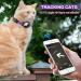 Premium Purple Airtag Cat Collar with Safety Lock & Elastic Band for Kittens and Puppies (23-33cm) - Bright Apple Air Tag Holder | International Shipping Available - Buy Online on GoSupps.com