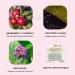 Alpyn PlantGenius Line-Filling Eye Balm - Reduce Fine Lines Puffiness & Dark Circles | 0.5 oz / 14 ml - International Shipping Available - Buy Online on GoSupps.com