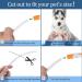 Coolzon LED Light Neck Band Dog Collar - Waterproof Adjustable Length 3 Modes Super Bright for Cats & Dogs - Orange - Buy Online on GoSupps.com