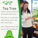 SENSOLI Tea Tree Essential Oil 10ml - Pure and Natural Essential Oil for Aromatherapy and Diffusers - Buy Online on GoSupps.com
