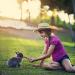 Premium Timothy Hay Sticks: Natural & Nutritious Treats for Small Pets - Buy Online on GoSupps.com