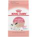 Royal Canin Mother And Babycat Cat Food 3.5-Pound