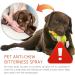 120ml Anti Chew Spray for Dogs Bitter Dog Spray to Stop Chewing Chew Deterrent Spray No Chew Bitter Spray Pet Corrector Spray for Dogs Deterrent Dog Spray to Stop Chewing Anti Chew Deterrents for Dog - Buy Online on GoSupps.com
