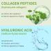 Jesswar 10 Sheet Facial Mask - Hyaluronic Essence & Centella Asiatica for Deep Hydration & Moisturizing | International Shipping Available - Buy Online on GoSupps.com