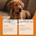Comprim s Croquer De Vitamines pour Animaux De Compagnie pour Chiens Et Chats Nutrition Quotidienne Soutien d'un Pelage Sain Soins des Articulations Multivitamines M cher - Buy Online on GoSupps.com