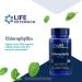 Life Extension Chlorophyllin 100 mg - 100 Vegetarian Capsules for Detox & Wellness - Buy Online on GoSupps.com