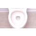 Spark Innovators RingX Natural Pumice Stone Toilet Bowl Cleaner - Eco-Friendly Effective & International Shipping Available - Buy Online on GoSupps.com