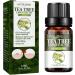 Eteslot 100% Pure Tea Tree Oil Natural Essential Oil for Skin Cell Activation Pore Shrinkage Aromatherapy & Diffuser - 10ml - Buy Online on GoSupps.com