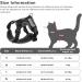 Adjustable Reflective Black XL Cat Harness and Leash Set - Escape Proof Vest for Cats and Dogs - Buy Online on GoSupps.com