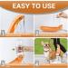 Namsan 550ml Dog Drinking Bottle - Portable Water Bottle for Dogs & Cats | Foldable Travel Bowl for Outdoor Activities - Orange - Buy Online on GoSupps.com