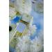 Alyssa Ashley Cashmeran Vanilla - Vanilla Perfume with White Amber Patchouli Salted Caramel Musk - Elegant Perfumes for Women - 1.7 oz EDP Spray - Buy Online on GoSupps.com